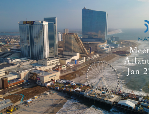 Experience the Naturi Pool at the 2026 Atlantic City Pool & Spa Show