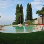 Stone decorated pool surrounded by grass